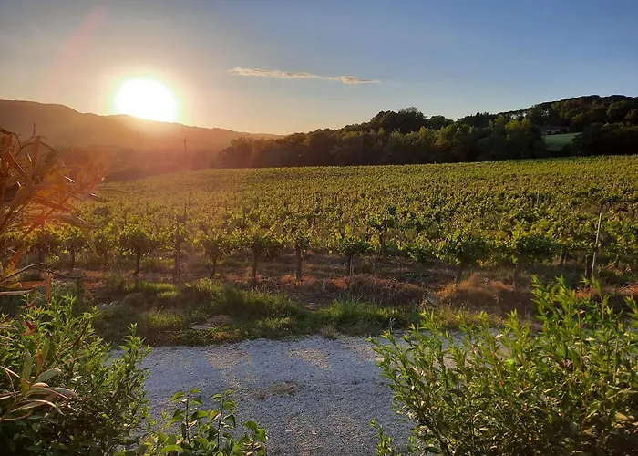 Agriturismo Borgo Montecucco