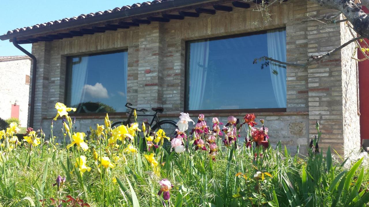Borgo Montecucco Alloggio per agriturismo