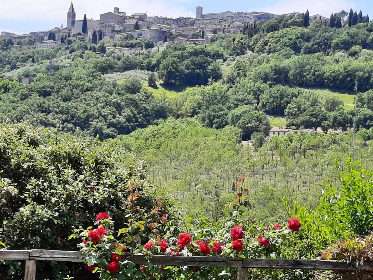 Borgo Montecucco