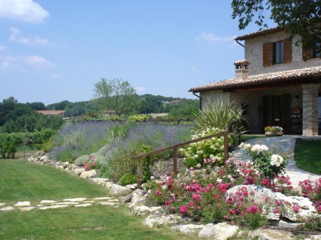Farm stay Borgo Montecucco Todi