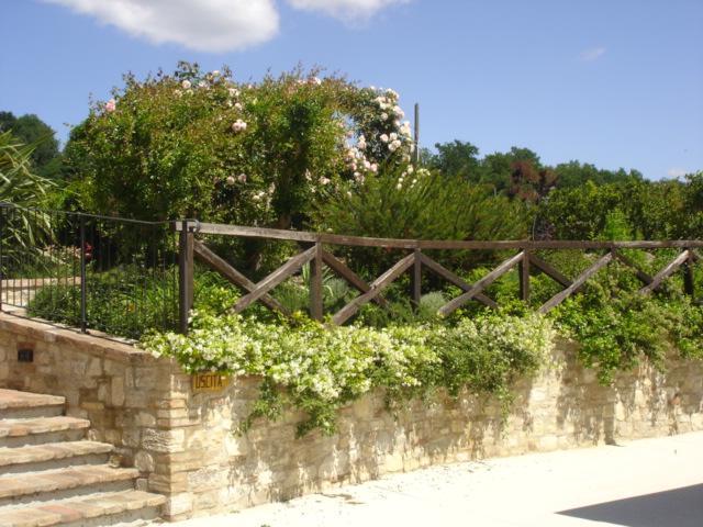 Farm stay Borgo Montecucco *