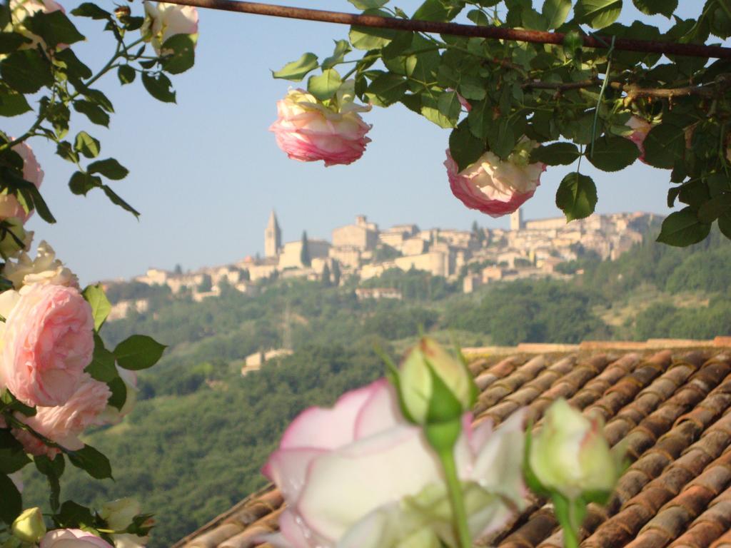 Farm stay Borgo Montecucco Todi